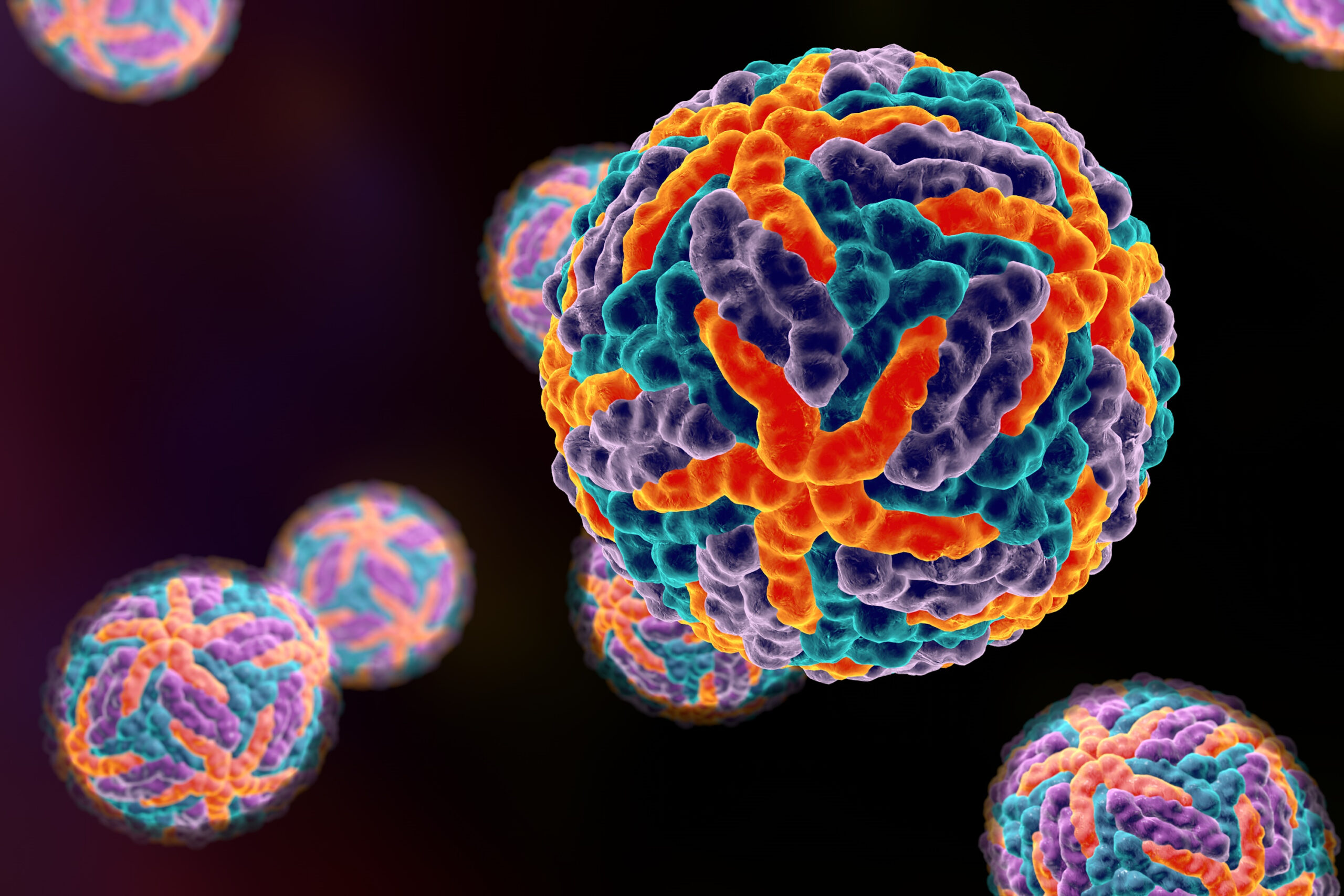 Fig 1. Ilustração 3D representando vírus da dengue. As cores indicam diferentes proteínas do vírus. Crédito: Dr_Microbe/iStock