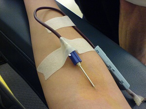 Doação de sangue. Foto: Waldszenem