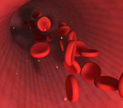 Hemácias. Foto: Shadersters (Turbo Squid)